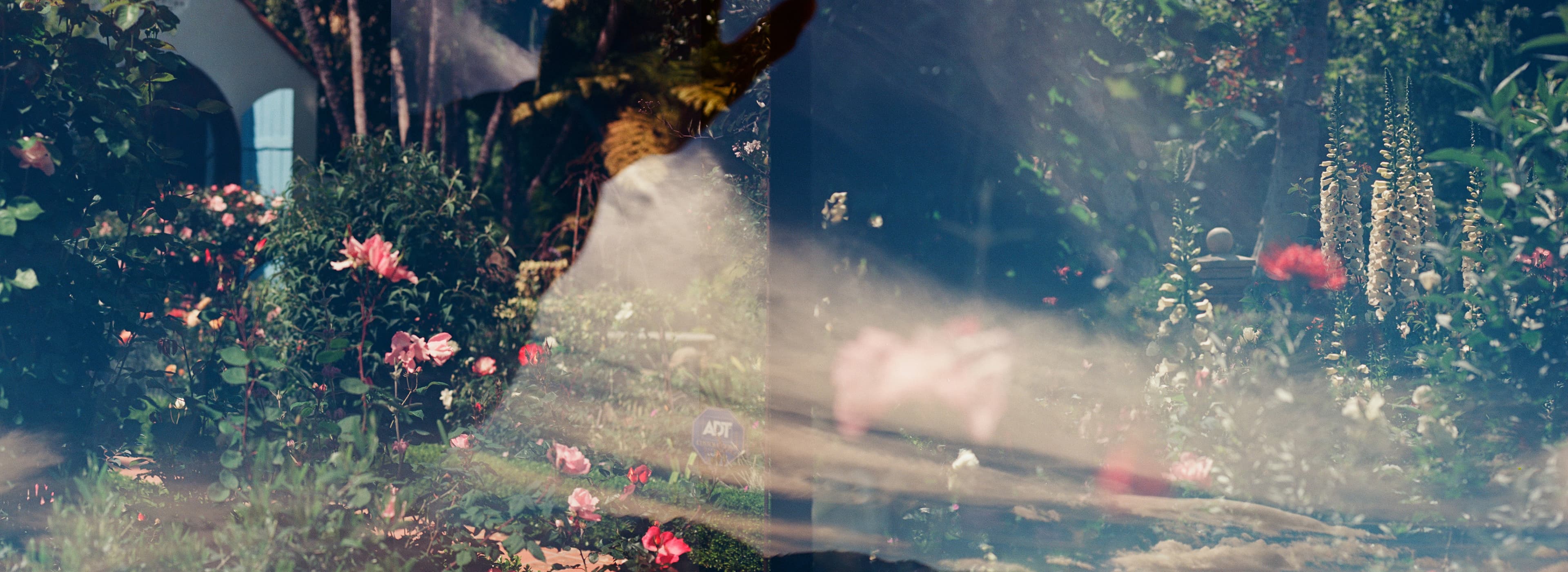 /_next/static/media/sprocket-wide-hand-garden.b4a07e4b.jpg