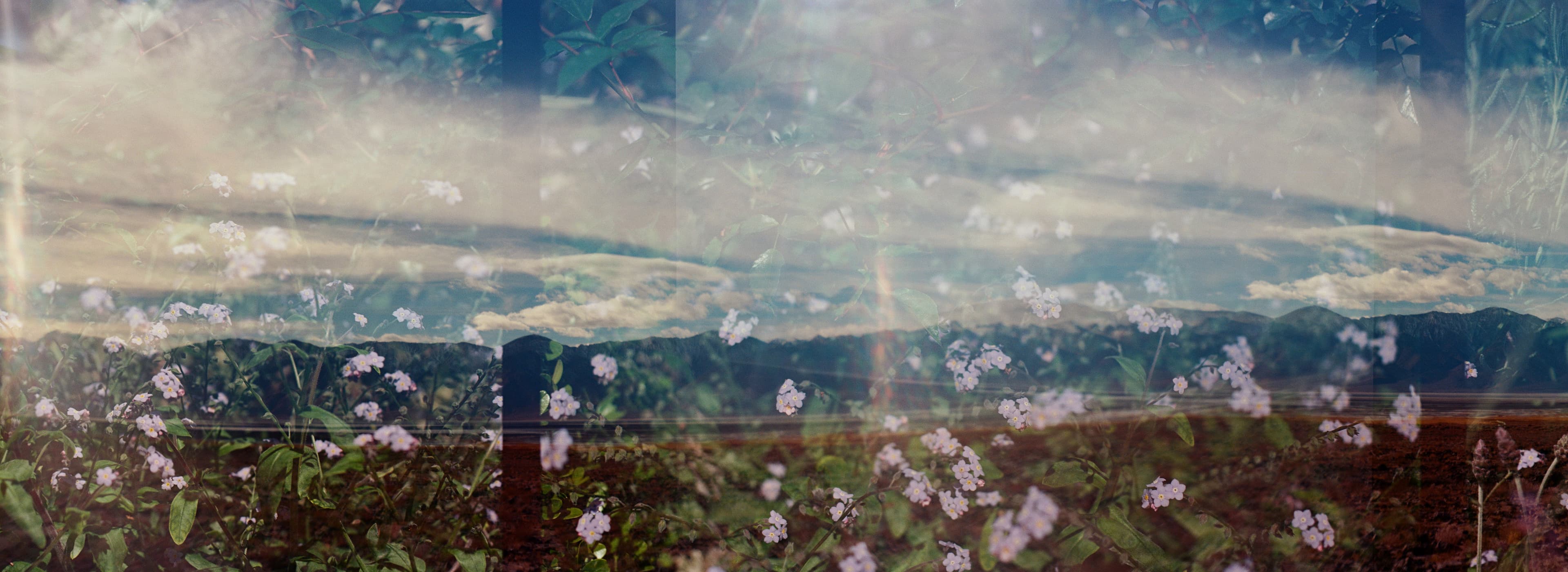 /_next/static/media/sprocket-wide-owens-valley.ae4c5742.jpg